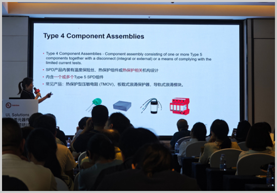 優(yōu)科檢測(cè)受邀參加UL保護(hù)類元器件標(biāo)準(zhǔn)專題研討會(huì)-4.jpg